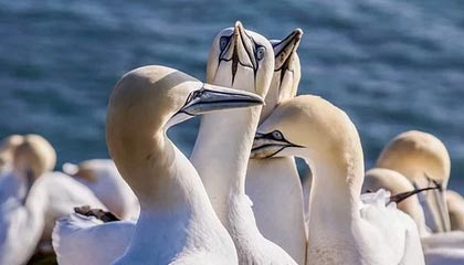 星空体育登陆首页-LOL赛事对电竞产业的影响：如何推动电竞发展，lol电竞的成功