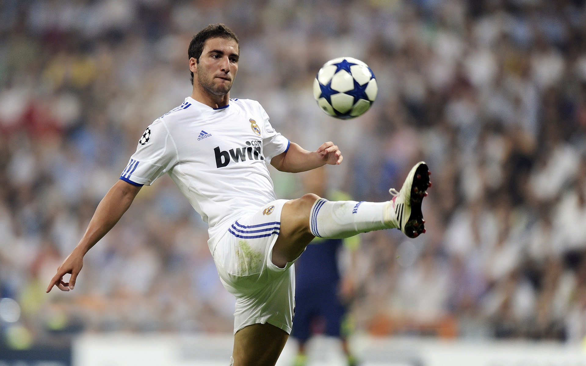 星空体育星空体育官网入口-球迷创新应援，营造热烈比赛氛围，球队应援