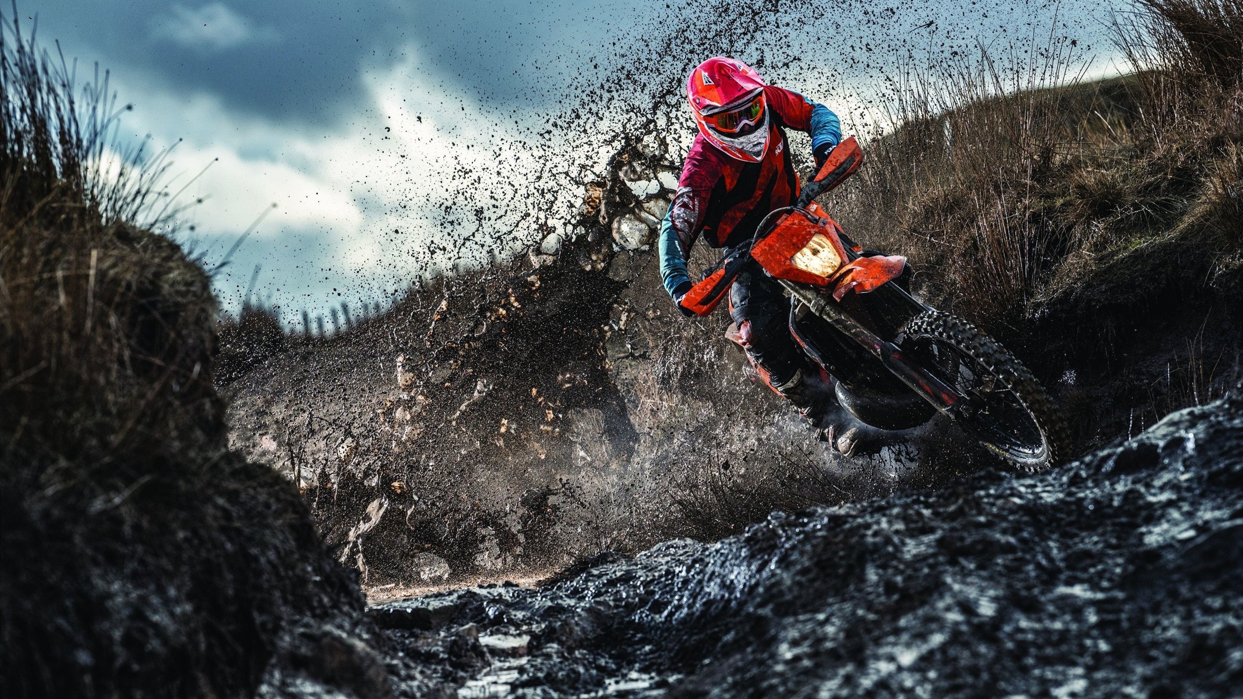 芬兰主场战胜拉脱维亚,提前出线成为实力派,芬兰队怎么了