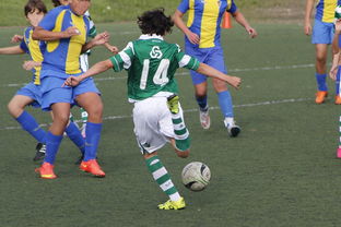 -体育新闻中心发布体育内容原创度评估智能工具，原创体育sports