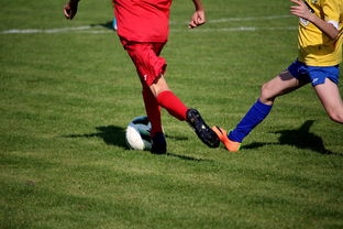 星空体育-国际足球俱乐部青训论坛在广州召开，国际足联青训补偿标准